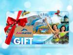 Zoomarine Gift